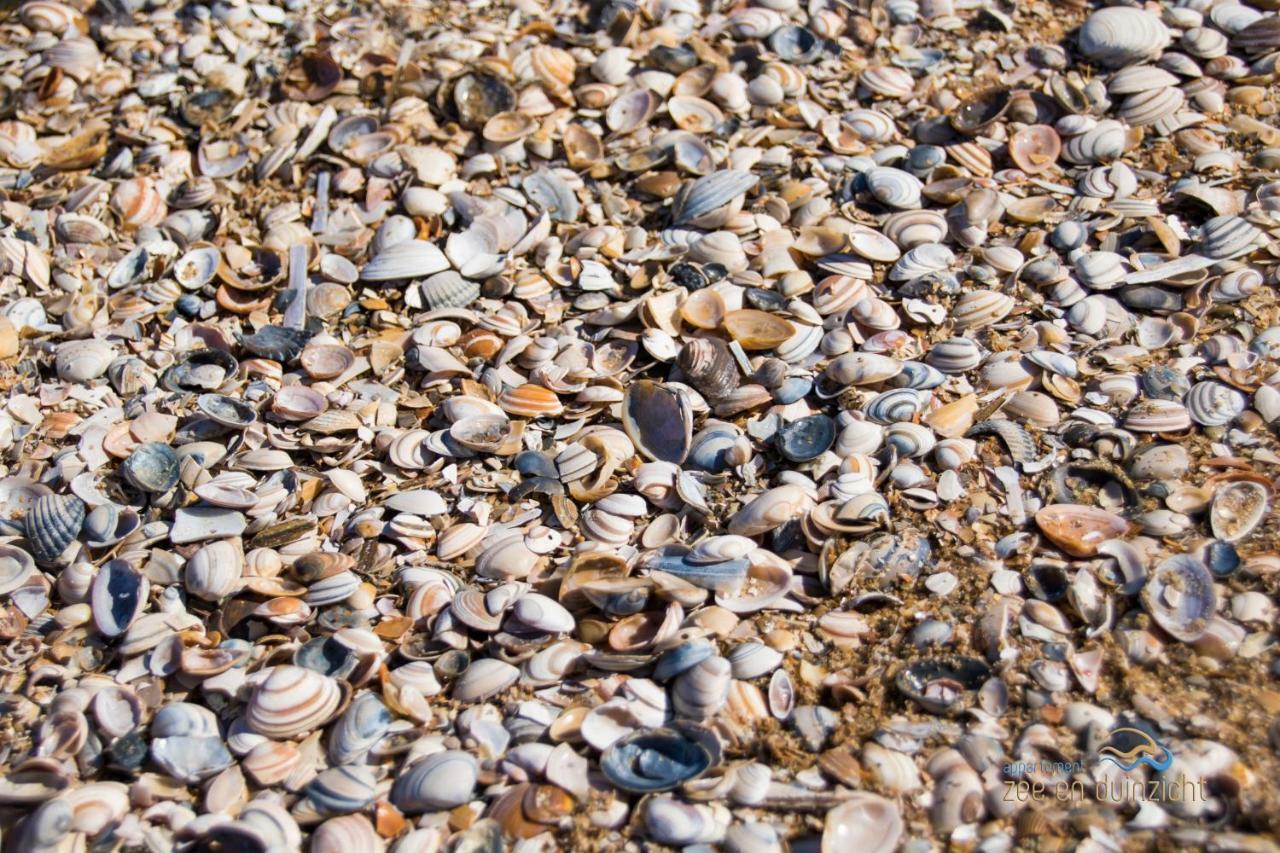 Appartement Zee En Duinzicht 78 Katwijk aan Zee ภายนอก รูปภาพ