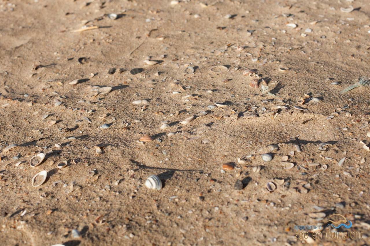Appartement Zee En Duinzicht 78 Katwijk aan Zee ภายนอก รูปภาพ